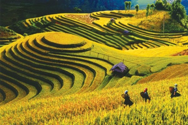 Thêm 7 di tích quốc gia đặc biệt - Anh 1