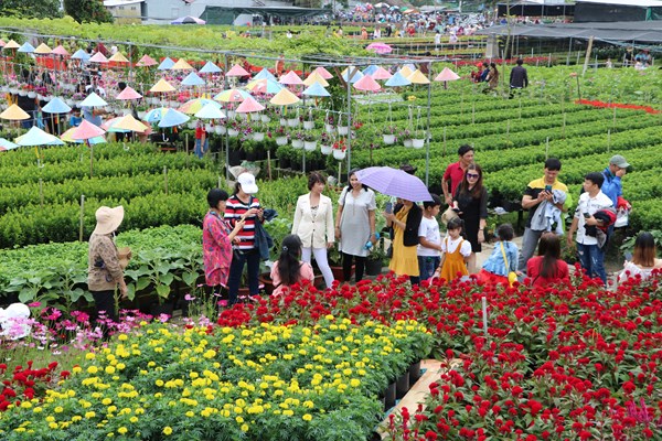 Hàng nghàn du khác đổ về làng hoa Sa Đéc - Anh 2