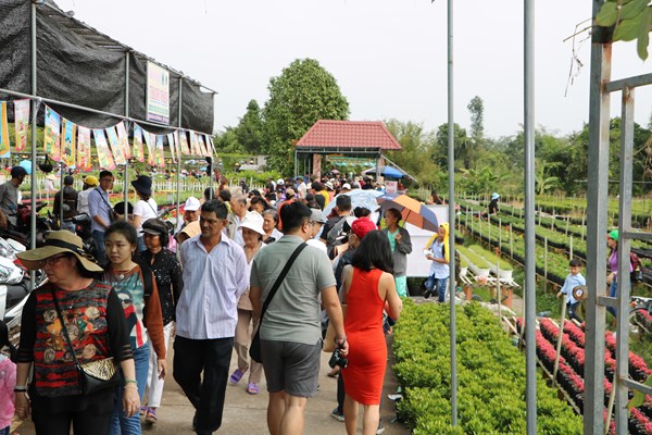 Hàng nghàn du khác đổ về làng hoa Sa Đéc - Anh 4