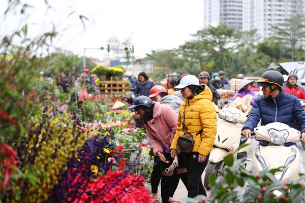 Người dân Thủ đô hối hả sắm đào, quất chơi Tết - Anh 9
