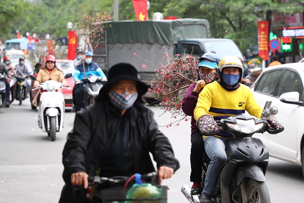 Người dân Thủ đô hối hả sắm đào, quất chơi Tết - Anh 10