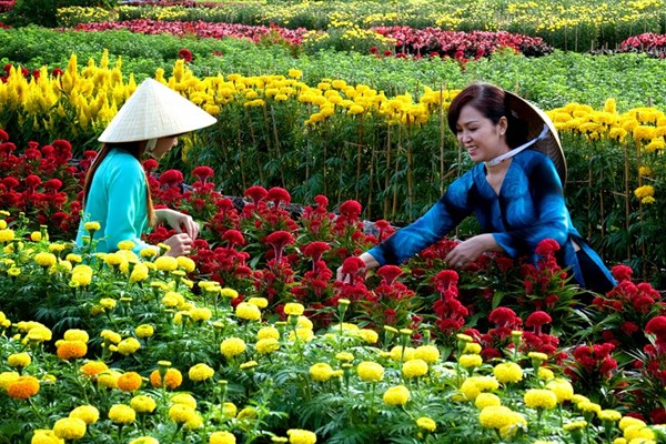 Những cung đường du xuân - Anh 1