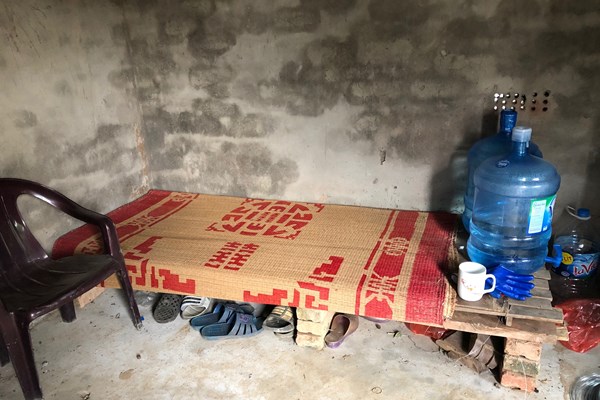 Chuyện đời dưới mỗi gốc quất - Anh 2
