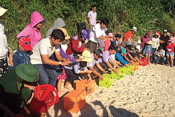 “Hành trình” chuyển hàng nghìn trứng rùa biển - Anh 4