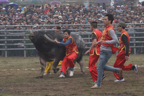 Công điện mới nhất của Bộ trưởng Bộ VHTTDL: Giảm quy mô, thời gian tổ chức với các lễ hội đã khai mạc - Anh 1