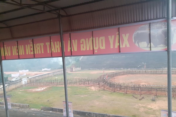 Dừng tổ chức, Lễ hội chọi trâu Phù Ninh không một bóng người - Anh 5