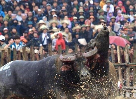 Bộ trưởng Bộ VHTTDL: Dừng tất cả các lễ hội, kể cả lễ hội đã khai mạc tại các tỉnh đã công bố dịch - Anh 1