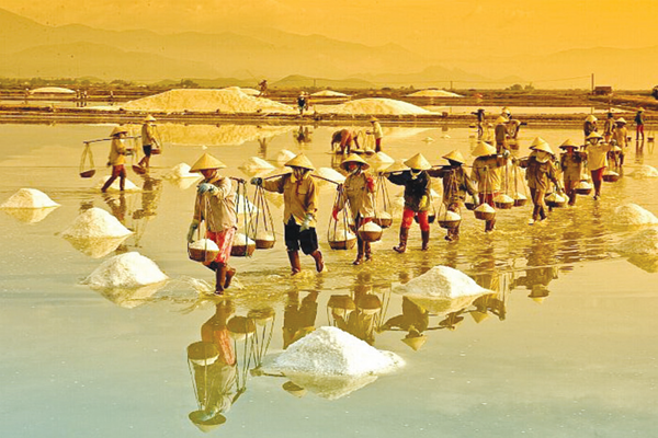 Phân lô… di sản vì giá muối rẻ? - Anh 1