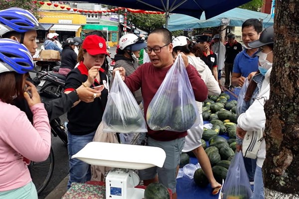 Hội An “giải cứu” hàng chục tấn dưa hấu - Anh 1
