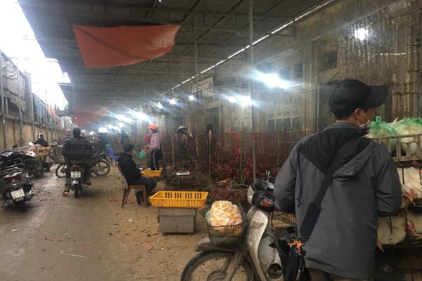Tăng cường phòng chống, kiểm soát và không để bùng phát dịch cúm gia cầm - Anh 2