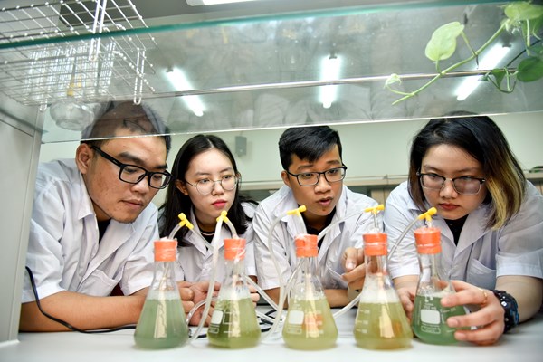 Bức tranh đa chiều qua Chuyện ngày xám... - Anh 1