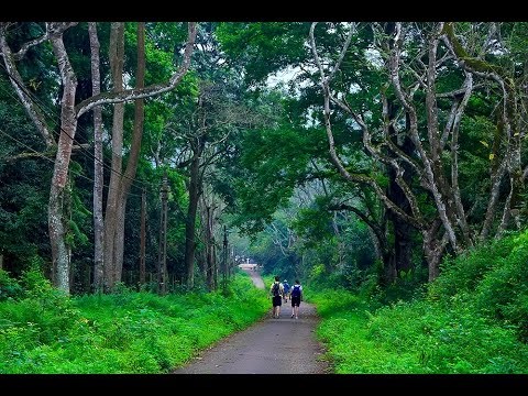 Những điểm du lịch vừa đẹp, vừa gần đi chơi dịp 8.3 - Anh 1