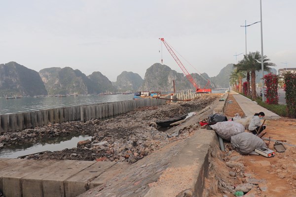 Vùng đệm vịnh Hạ Long có dấu hiệu bị xâm phạm nghiêm trọng - Anh 2