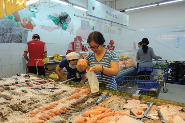 TP.HCM: Đề nghị người dân không nên tích trữ thực phẩm - Anh 1