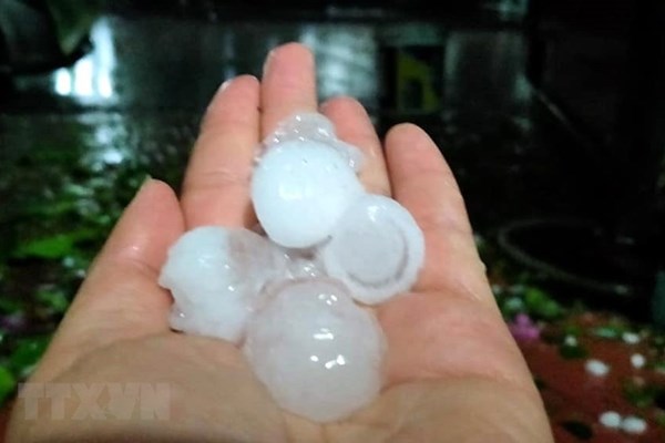 Tập trung khắc phục hậu quả mưa đá, dông lốc, ứng phó với xâm nhập mặn - Anh 1