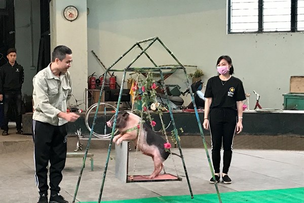 Xiếc thú “quẫy mình” âm thầm trong mùa dịch - Anh 3