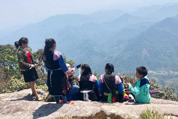 Hoa đỗ quyên trên đỉnh Pha Luông - Anh 2