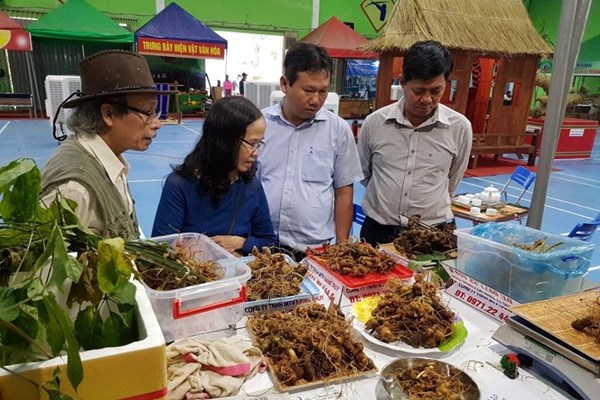 Dừng tổ chức chợ sâm online vào giờ cuối - Anh 1