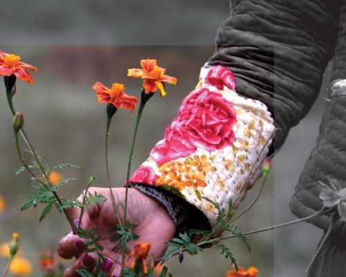 Du lịch qua từng trang sách, tại sao không? - Anh 1