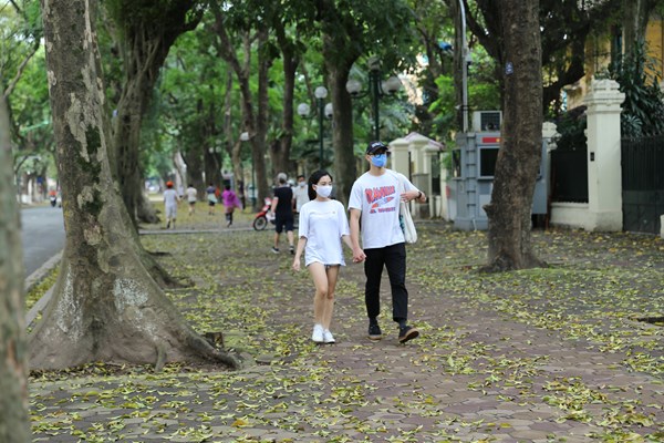 Hà Nội: Mùa lá rụng nhuộm vàng nhiều tuyến phố - Anh 9