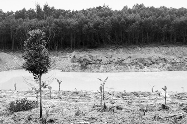 Xây dựng trái phép khu sinh thái trên đất lâm nghiệp ở Hà Tĩnh: “Phớt lờ” yêu cầu đình chỉ - Anh 1