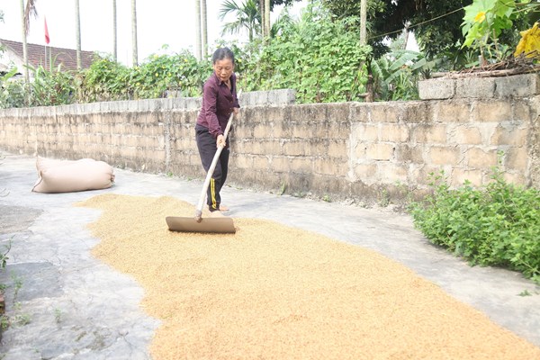 Nhiều hộ nghèo ở Hà Tĩnh xin không nhận trợ cấp của Chính phủ: Xin nhường cho người khó khăn hơn - Anh 2