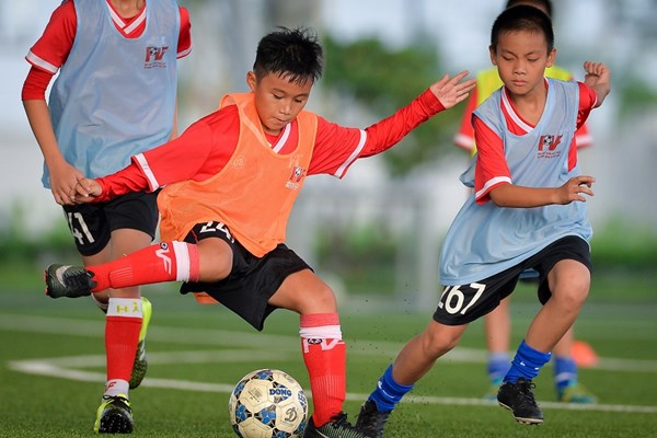 PVF tuyển sinh khóa 12, tìm kiếm tài năng bóng đá trẻ - Anh 1
