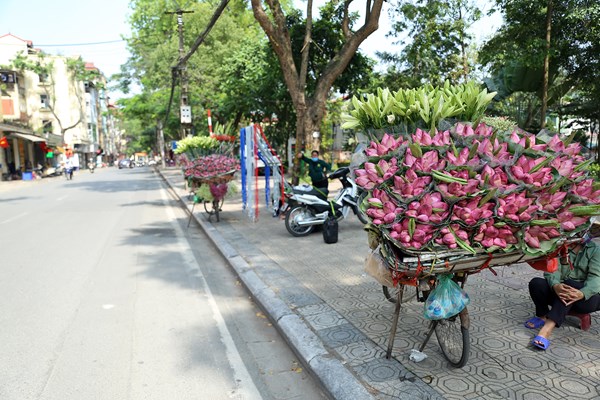 Hà Nội: Thơm ngát mùa hoa sen xuống phố - Anh 1