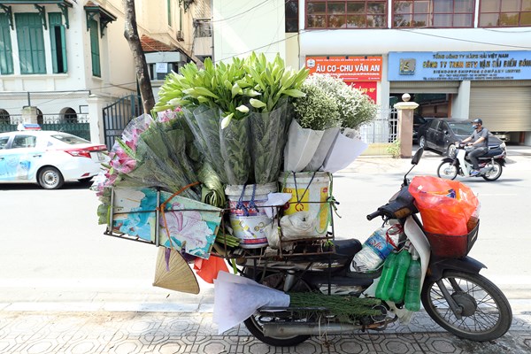 Hà Nội: Thơm ngát mùa hoa sen xuống phố - Anh 4
