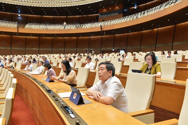 Tăng tỷ lệ hoạt động chuyên trách lên ít nhất 40% tổng số đại biểu QH - Anh 1