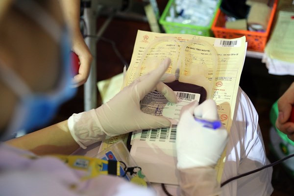 Giảng viên, sinh viên Trường Cao đẳng Du lịch Hà Nội sẻ chia giọt máu nghĩa tình - Anh 8