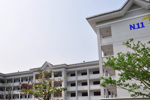 Quảng Nam tiếp nhận, cách ly 243 phụ nữ mang thai về từ Đài Loan - Anh 1
