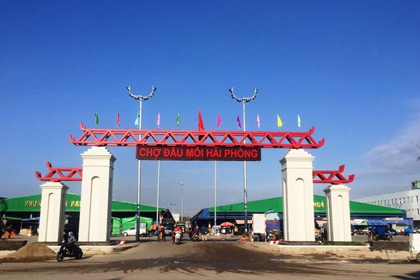 Hải Phòng: Xem xét kỷ luật nhiều cán bộ, đảng viên - Anh 1