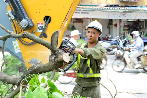Công nhân đội nắng tỉa cây trước mùa mưa bão - Anh 11