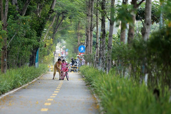 Hà Nội: Mương bẩn “biến hình” thành đường đi bộ rợp bóng mát - Anh 6