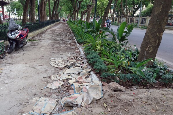 Hà Nội: Mương bẩn “biến hình” thành đường đi bộ rợp bóng mát - Anh 9