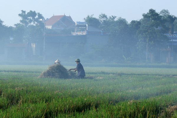 Ngoại thành đốt rơm rạ, nội thành lãnh đủ - Anh 2