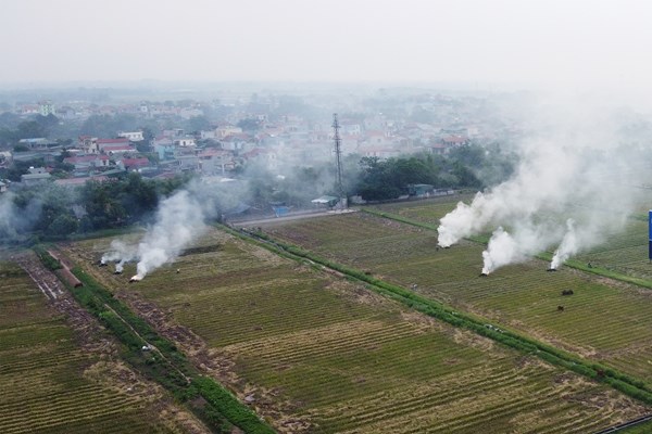 Ngoại thành đốt rơm rạ, nội thành lãnh đủ - Anh 12