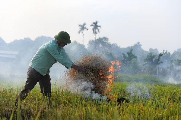 Ngoại thành đốt rơm rạ, nội thành lãnh đủ - Anh 3