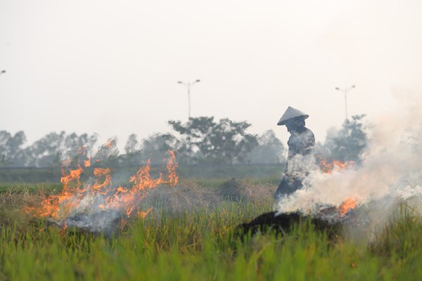 Ngoại thành đốt rơm rạ, nội thành lãnh đủ - Anh 4