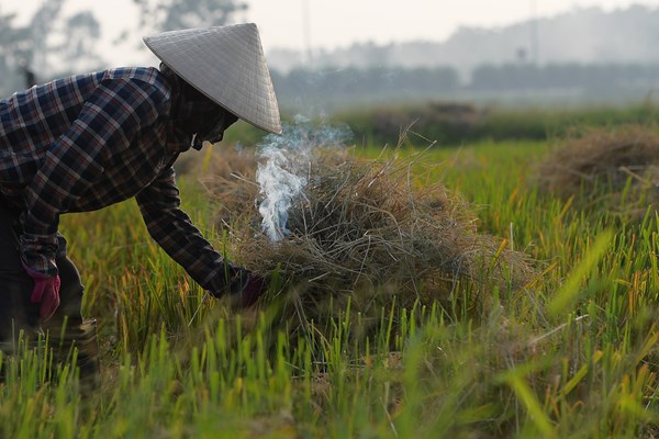 Ngoại thành đốt rơm rạ, nội thành lãnh đủ - Anh 6
