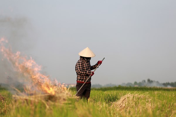 Ngoại thành đốt rơm rạ, nội thành lãnh đủ - Anh 7