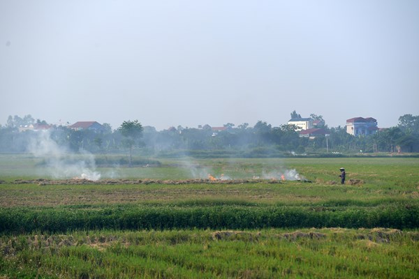 Ngoại thành đốt rơm rạ, nội thành lãnh đủ - Anh 9
