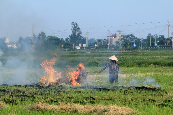 Ngoại thành đốt rơm rạ, nội thành lãnh đủ - Anh 10
