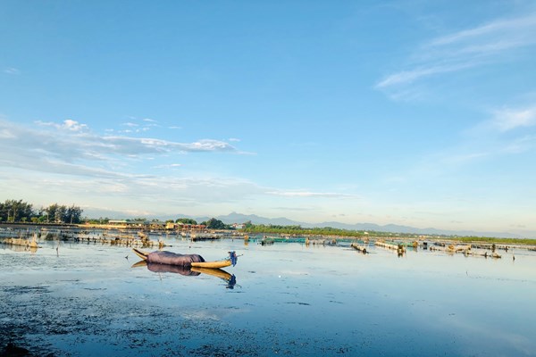 Thành lập khu bảo tồn thiên nhiên đất ngập nước - Anh 1