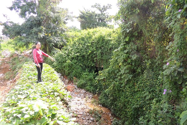 Đắp bờ ngăn nước chống ngập hoa màu (Ngọc Hồi- Kon Tum): Người dân bị phạt vì... không có giấy phép xây dựng - Anh 1