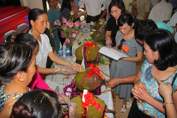 3 năm đi tìm “Đệ nhất mít Sơn Đông” - Anh 3