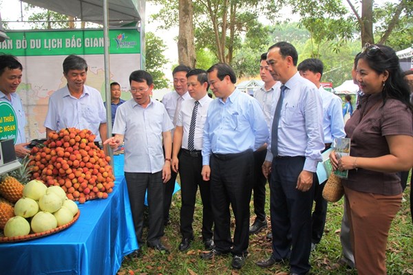 Bắc Giang mùa trái ngọt - Anh 4