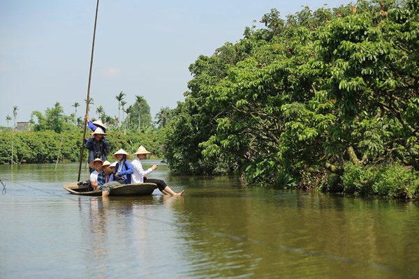 Hải Dương: Độc đáo du lịch “đi thuyền hái vải” - Anh 1
