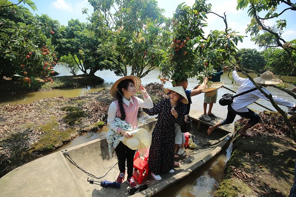 Hải Dương: Độc đáo du lịch “đi thuyền hái vải” - Anh 4